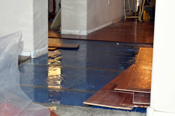 Professional Basement Flood Cleanup technician working in Wolcott, IN